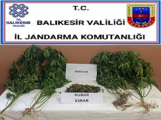 ERDEK'TE UYUŞTURUCU OPERASYONU