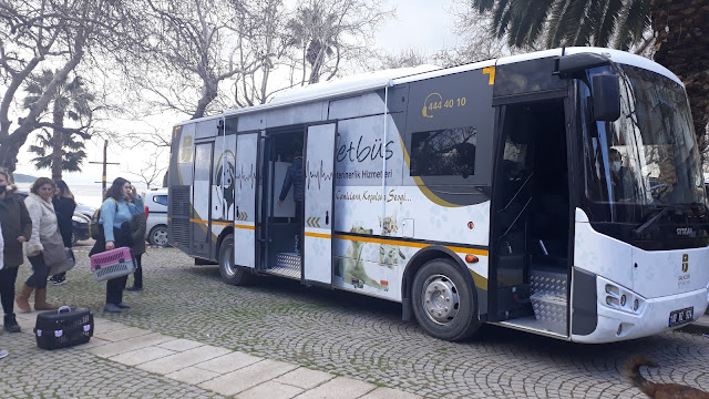 VETBÜS ERDEK'TE