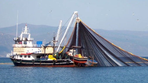 DENİZLERDE AV YASAĞI BAŞLADI