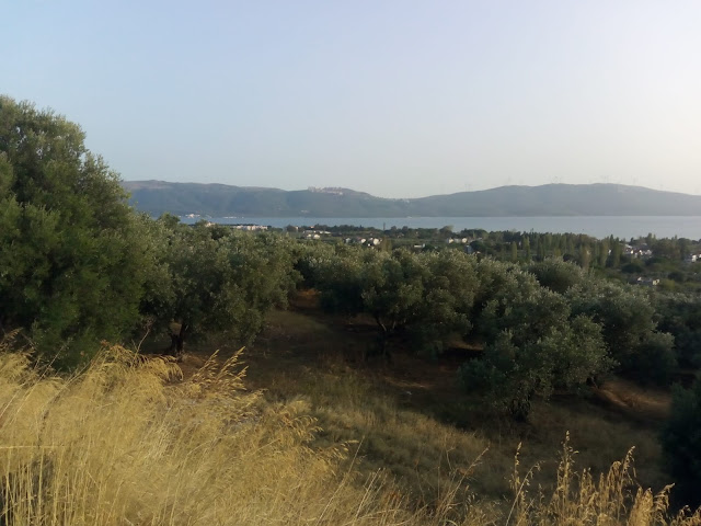 KASTRİ İMAR PLANI 18. MADDE ONAYLANDI