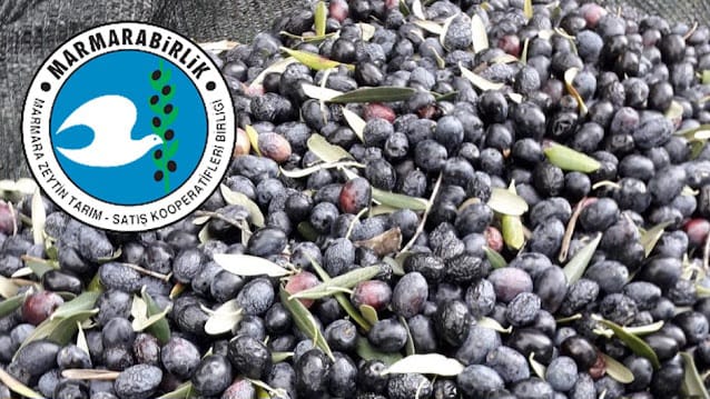 MARMARABİRLİK SON ÖDEMELERİ BUGÜN YAPACAK