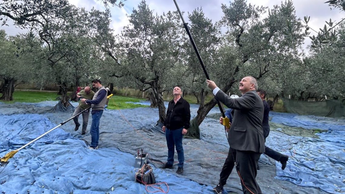 KAYMAKAM GÖÇ ZEYTİN HASADINA KATILDI