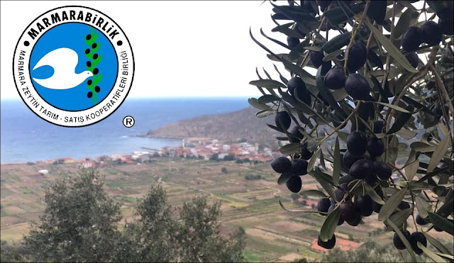 MARMARABİRLİK ORTAKLARINA YARIN 354 MİLYON LİRA ÖDEYECEK 